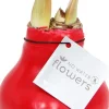 Amaryllis in wax (Hippeastrum 'Waxz Red') H 15 cm