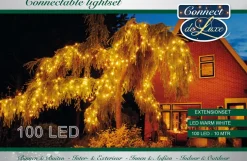Anna's Collection connect de luxe met 100 lampjes warm white 10 m