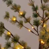 Anna's Collection decoratieboom buiten met verlichting D 55 H 180 cm