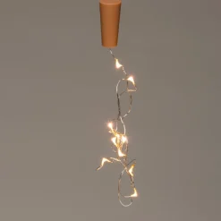 Anna's Collection draadverlichting voor fles met 10 LED lampjes warm white 1 m