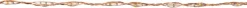 Anna's Collection draadverlichting met 66 lampjes classic warm 1 m