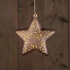 Anna's Collection kerst ornament Kosmos ster brons met verlichting 19 x 19 cm
