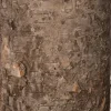 Anna's Collection LED stompkaars berkenhout structuur bruin D 9 H 15,8 cm
