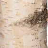 Anna's Collection LED stompkaars berkenhout structuur wit D 9 H 15,8 cm