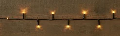 Anna's Collection miniverlichting met 200 lampjes warm white 15 m