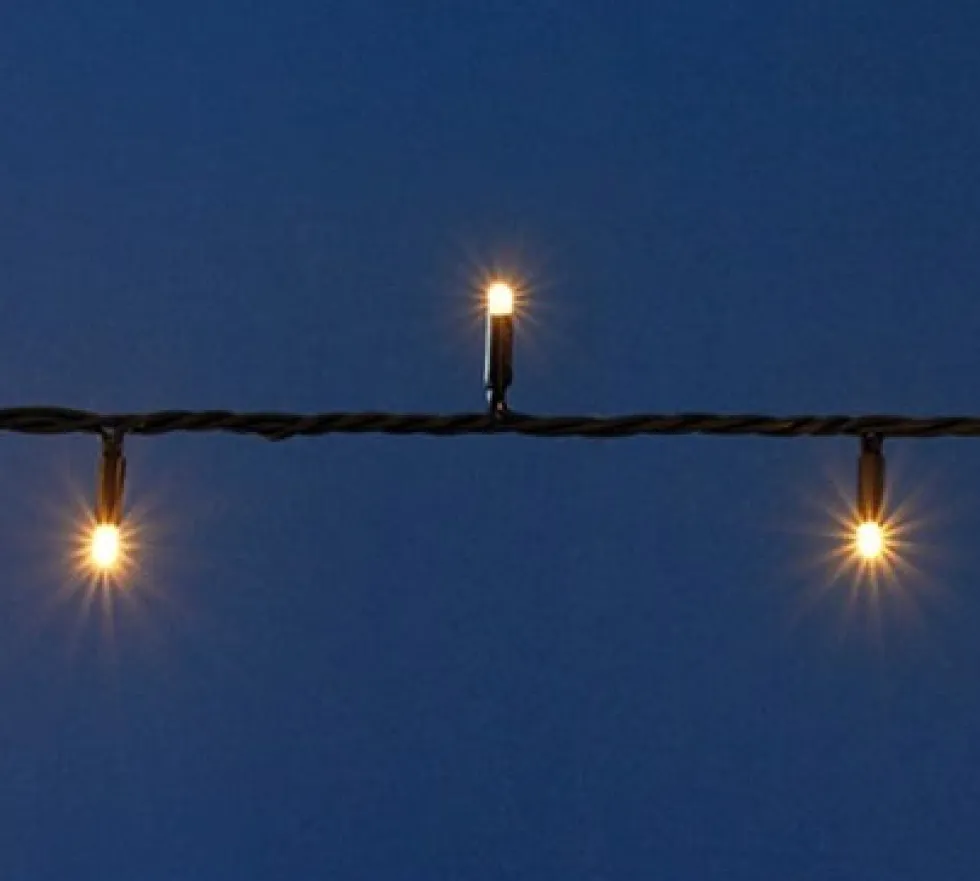 Anna's Collection miniverlichting Connect de Luxe met 100 lampjes warm white 10 m