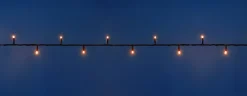 Anna's Collection miniverlichting Connect de Luxe met 100 lampjes classic warm 10 m