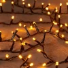 Anna's Collection miniverlichting met 2000 lampjes classic warm 42 m