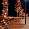 Anna's Collection miniverlichting met 100 lampjes classic warm 10 m