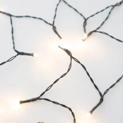 Anna's Collection miniverlichting Premium groen met 40 lampjes warm white 4m