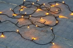 Anna's Collection miniverlichting met 50 lampjes classic warm 3,75 m