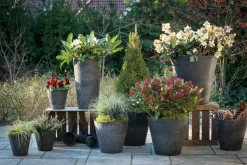 Artstone bloempot Claire D27 H24 cm zwart