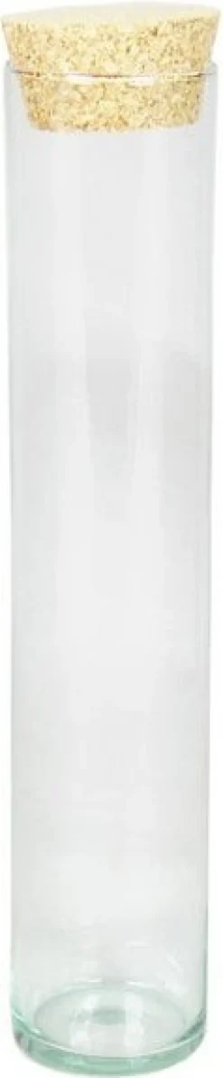 Bela Arte vaas transparant D 6 H 30 cm