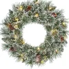 Black Box kerstkrans Vandans besneeuwd met 20 lampjes warm wit D 45 H 15 cm