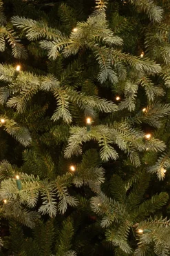 Black Box kunstkerstboom Ardley met 240 lampjes warm wit D 117 H 215 cm