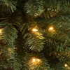 Black Box kunstkerstboom Charlton met 120 lampjes warm wit D 53 H 185 cm