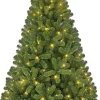 Black Box kunstkerstboom Charlton voor buiten met 280 lampjes warm wit D 115 H 185 cm