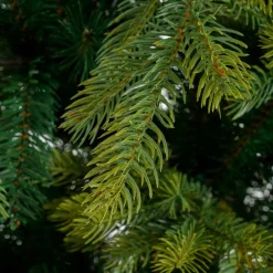 Black Box kunstkerstboom Grand Fir D 132 H 185 cm