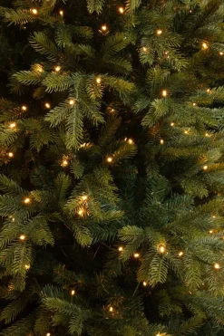 Black Box kunstkerstboom Grand Fir met 550 lampjes warm wit D 152 H 215 cm