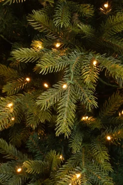 Black Box kunstkerstboom Grand Fir met 550 lampjes warm wit D 152 H 215 cm