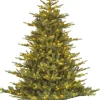 Black Box kunstkerstboom Grand Fir met 300 lampjes warm wit D 112 H 155 cm