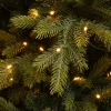 Black Box kunstkerstboom Grand Fir met 700 lampjes warm wit D 162 H 230 cm