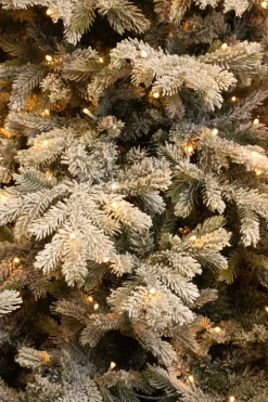 Black Box kunstkerstboom Grand Fir besneeuwd met 550 lampjes warm wit D 152 H 215 cm