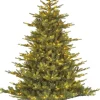 Black Box kunstkerstboom Grand Fir met 800 lampjes warm wit D 172 H 270 cm