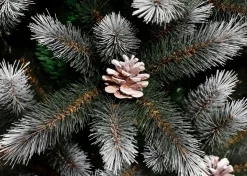 Black Box kunstkerstboom Pittsfield besneeuwd D 122 H 230 cm