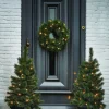 Black Box voordeurset Glendon besneeuwd met 85 lampjes warm wit D 45 H 90 cm
