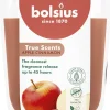 Bolsius geurkaars True Scents Apple Cinnamon bruin 45 uur D 8,4 H 5,2 cm