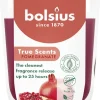 Bolsius geurkaars True Scents Pomgranate rood 25 uur D 8,4 H 5,2 cm