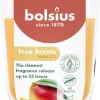 Bolsius geurkaars True Scents Mango oranje 25 uur D 8,4 H 5,2 cm