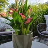 Capi Europe bloempot Groove Grass groen D 16,5 H 15 cm