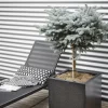 Capi Europe plantenbak Lux Terrazzo zwart 50 x 50 x 50 cm