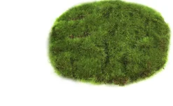 Countryfield kerstdorp ondergrond groen D 14 H 2 cm