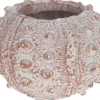 Dijk Natural Collections bloempot Koraal oranje D 9,5 H 7 cm