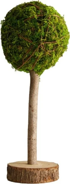 Dijk Natural Collections decoratieboom groen D 20 H 50 cm
