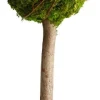 Dijk Natural Collections decoratieboom groen D 15 H 40 cm