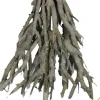 Dijk Natural Collections decoratieboom op voet Kaity naturel 34 x 10 x 56 cm