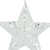 Dijk Natural Collections kerstster zilver D 18 H 6 cm