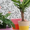 Duif plantenmand Riley roze / oranje D 15,5 H 13 cm