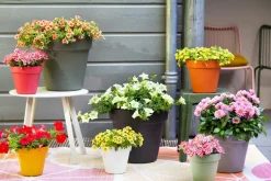 Easyday bloempot Smile zwart D 39 H 34,7 cm