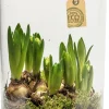 Eco fles Nobles D 19 H 35 cm