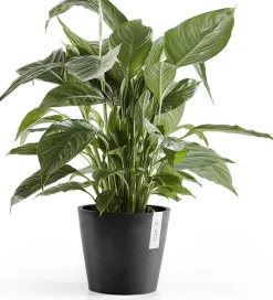 Ecopots bloempot Amsterdam donkergrijs D 20 H 17,1 cm