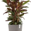 Ecopots bloempot Oslo taupe D 35 H 30,5 cm