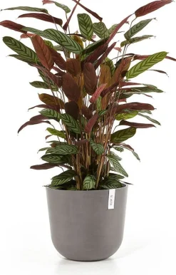 Ecopots bloempot Oslo taupe D 35 H 30,5 cm
