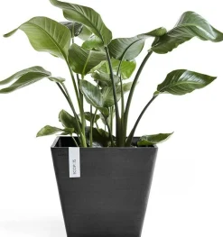 Ecopots bloempot Rotterdam donkergrijs 30 x 30 x 26 cm