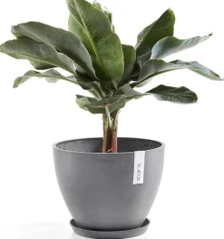 Ecopots plantenschotel Amsterdam grijs D 28,7 H 3 cm