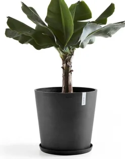 Ecopots plantenschotel Amsterdam donkergrijs D 44,5 H 3,5 cm